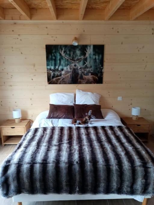 Chalet El Cant Dels Ocells Fillols Экстерьер фото